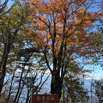 折宇谷山ピーク
ここまでが長い〜

この下に西山と言うグレーピークがありますが
崖下っぽい感じ
さすがグレー🩶笑