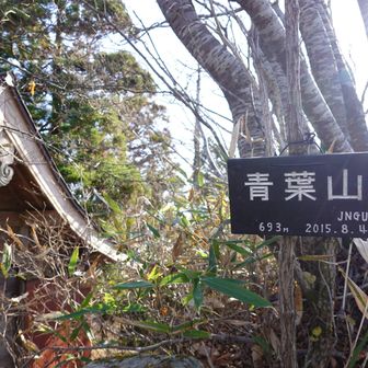 青葉山東峰山頂
神社の裏手です