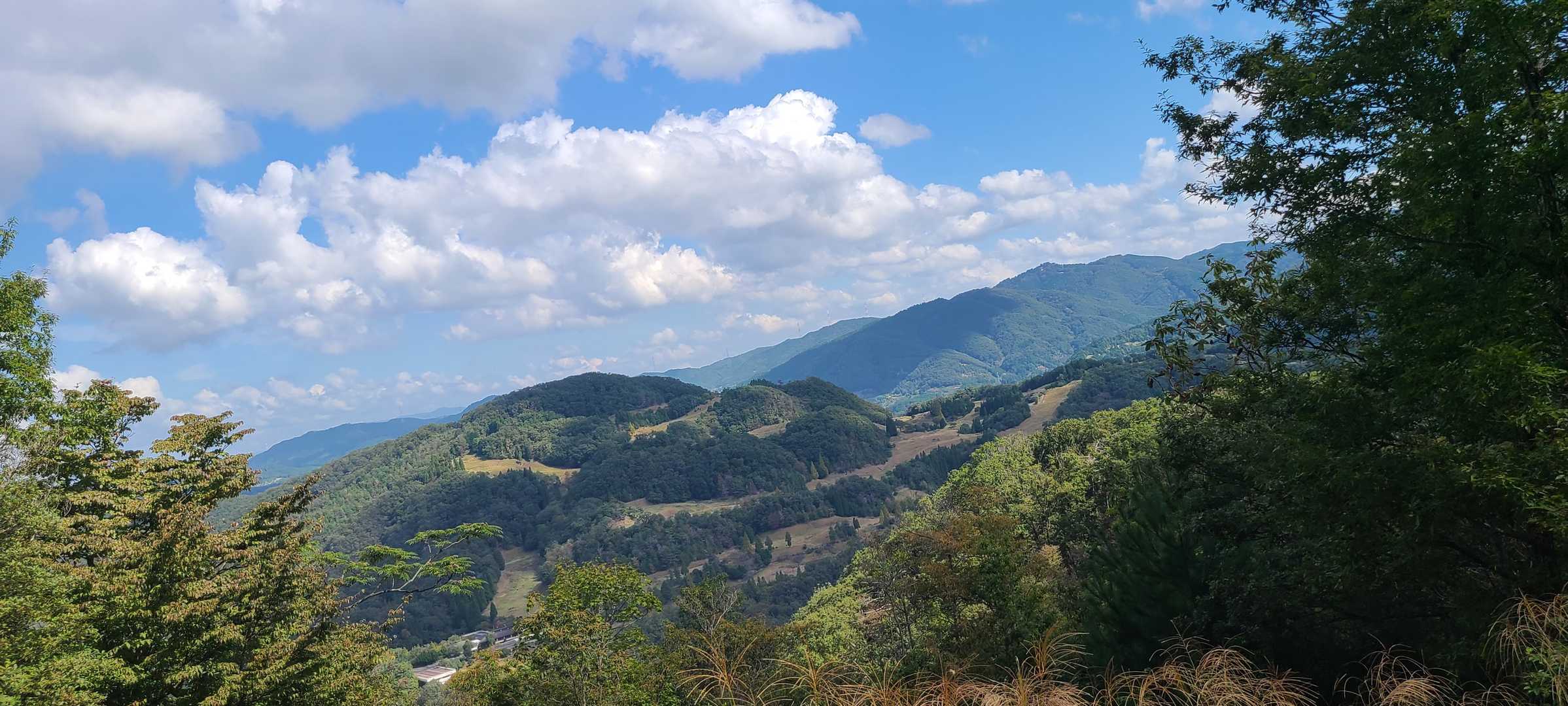 雨森山（兵庫県）の写真