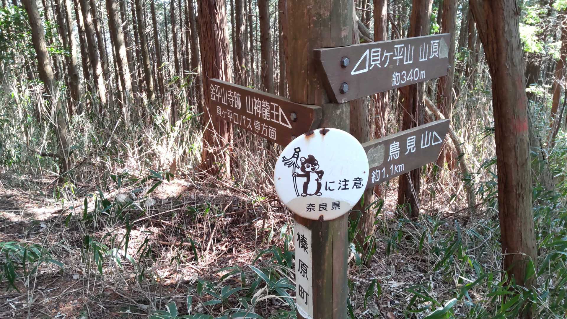 別ルートもありそうです