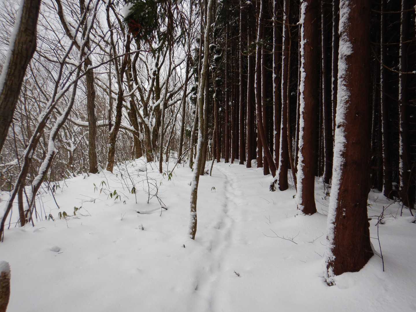 下山道