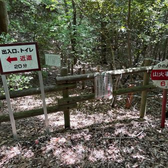 ここから先は立ち入り禁止🚧
おとなしくイワカガミの小道?を進み西山へ向かう