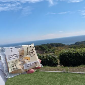 このタイプのパンをよく食べてます