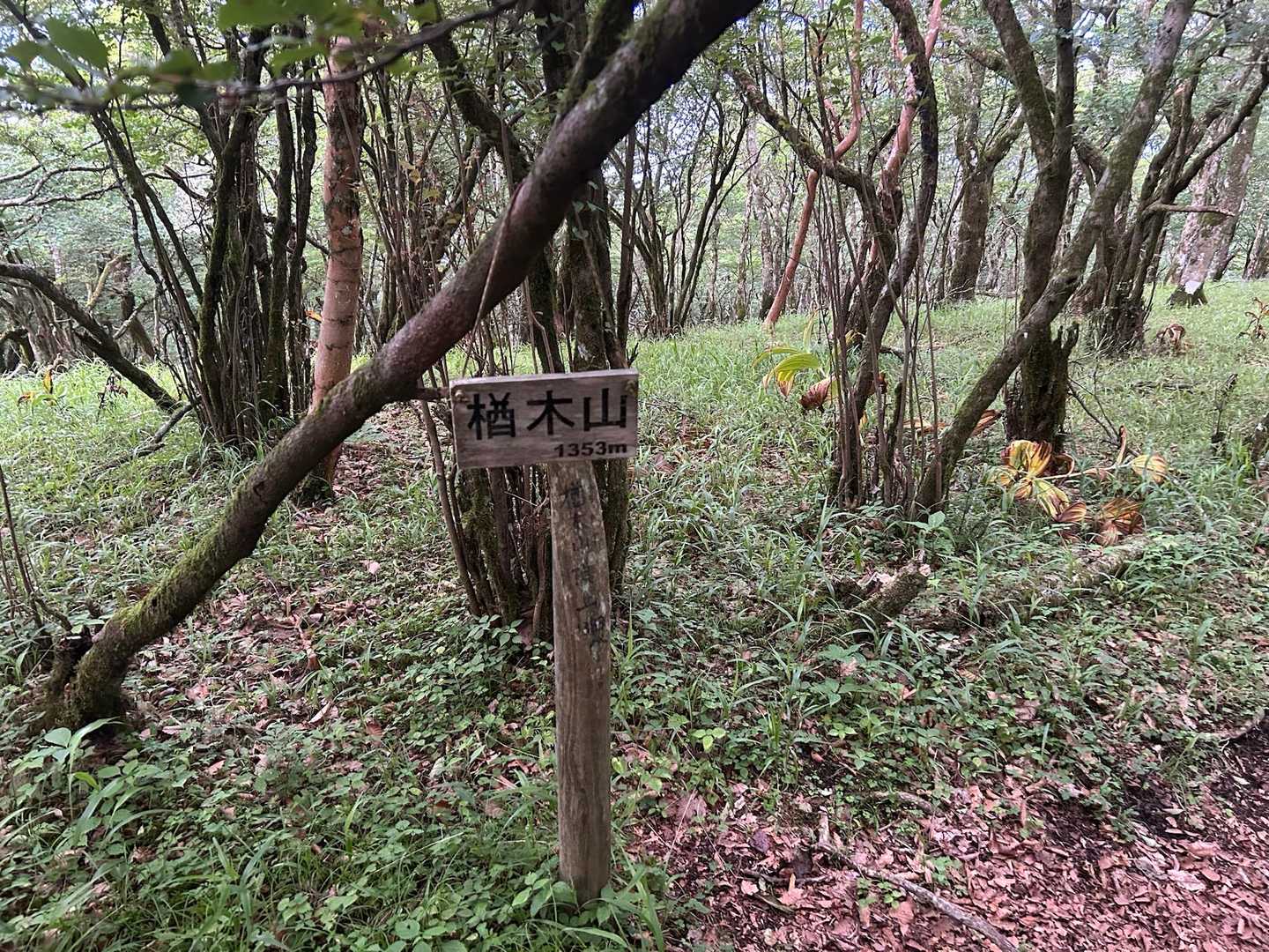 楢木山