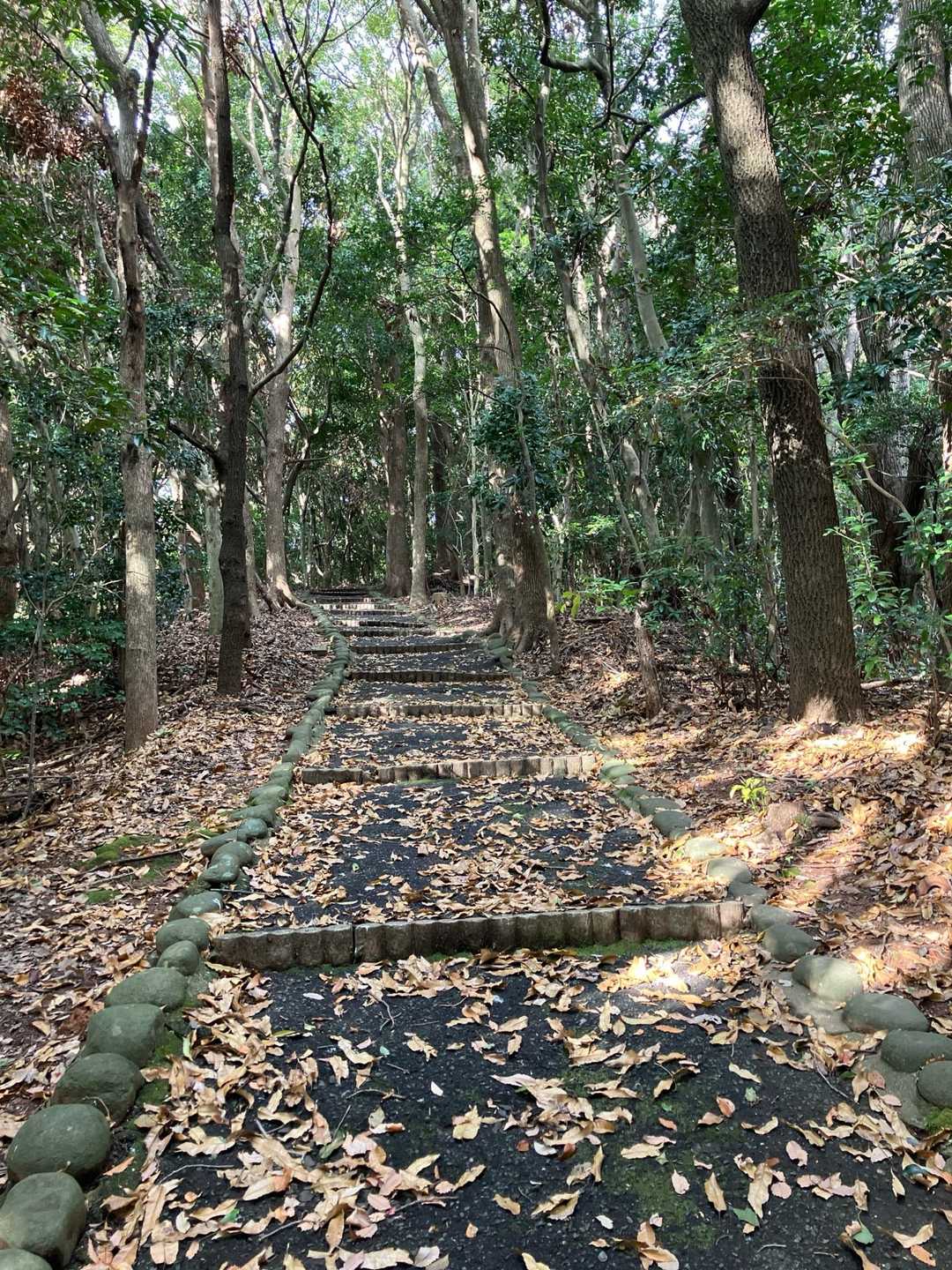 普段着で、
舗装路を登って行きます。