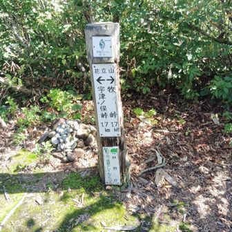 元々ダレがちな中盤でこの無限アップダウンキツい