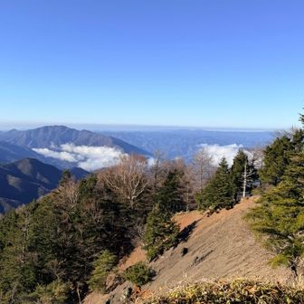 後ろ振り返る👀