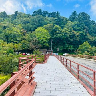 夏山登山道から弥山を目指します▶️
