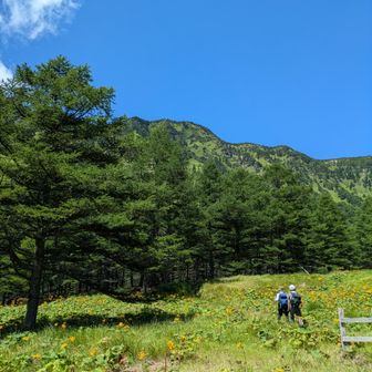 草滑りの登りですね…💦