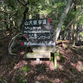 2本の登山道の合流点