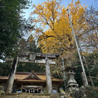 　　　高木神社⛩️(旧数山家住宅向かい側)