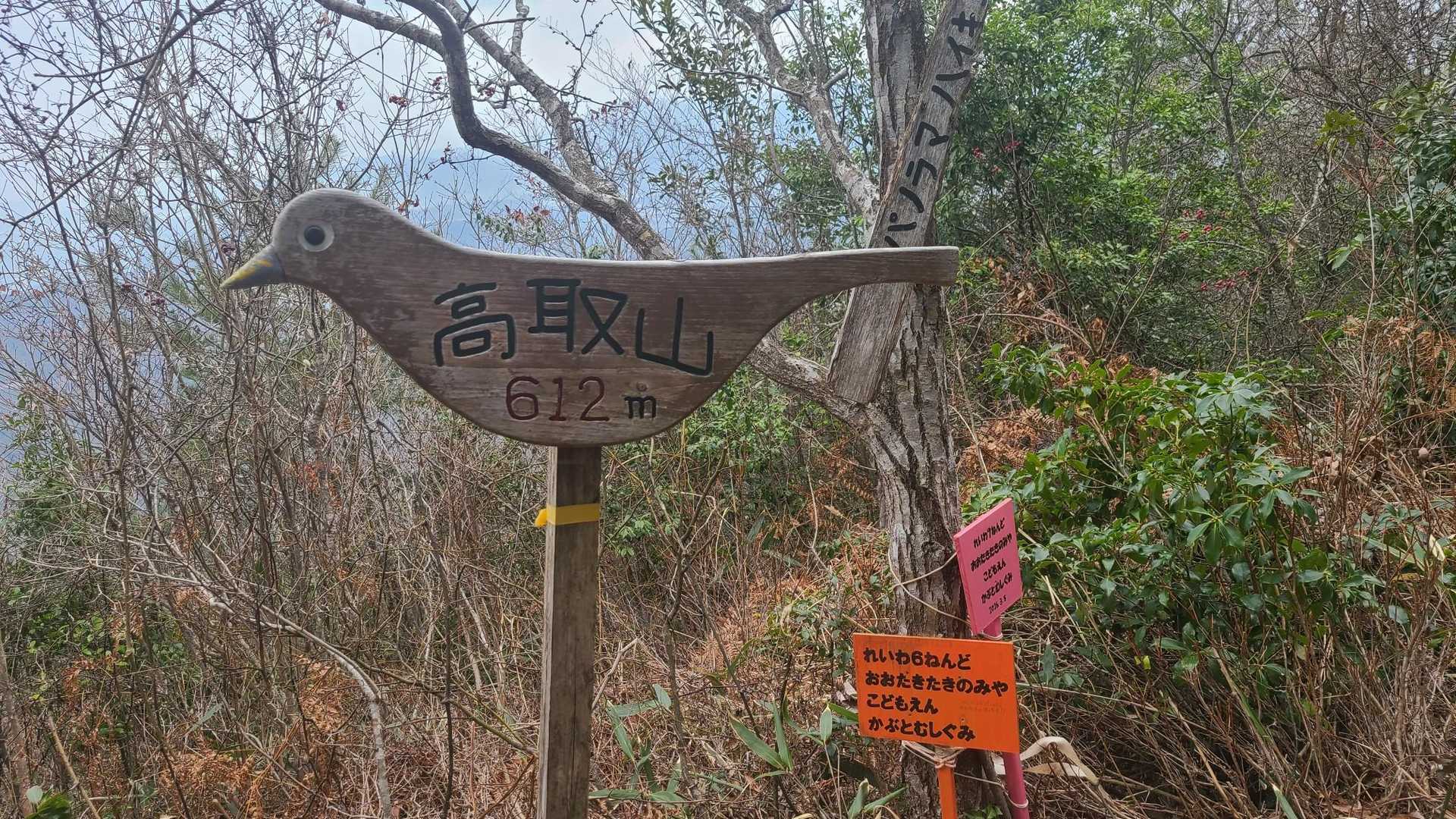 山頂です