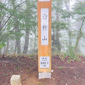 臼杵山登頂842.1m