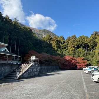 鈴鹿7の紅葉　残すは入道ヶ岳！
お疲れ様でしたー