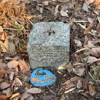 高山の三角点は、隠されたところにありました