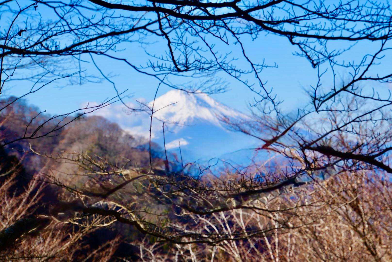 雨水峠からの富士山🗻