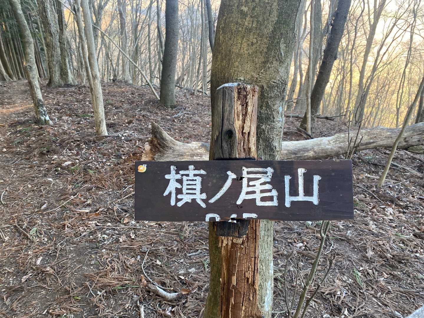 比較的緩やかな尾根沿いから
2座目　槙ノ尾山
