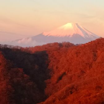 朝焼けの富士山