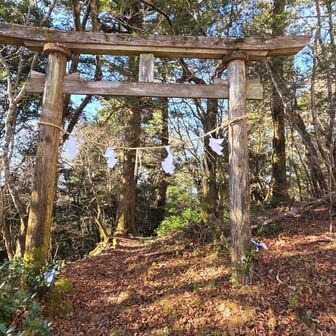 お邪魔してます！