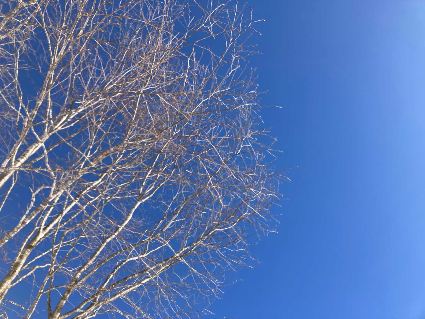 ソリで制御不能になり、転がって見上げた空（笑）