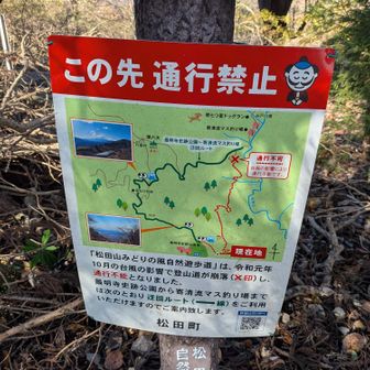 道標では差しいているものの寄への通行は不可。