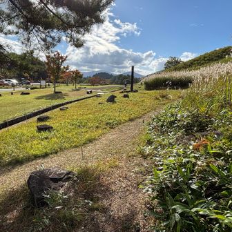 花を愛でながら南登山口にゴール❗️
深入山の存在、助かるなあ💕