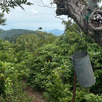 振り返ると琵琶湖を遠望出来る

クマ避け見つけるたびに
壊れそうなくらい連打🏋🏼‍♂️