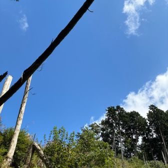 青空💙