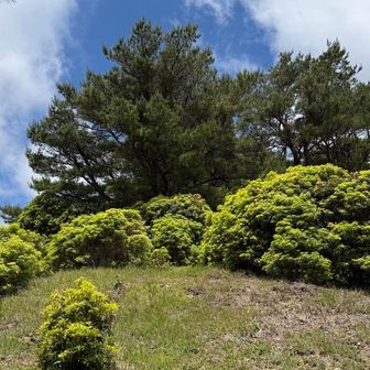 伊勢辻山へ
