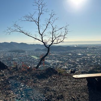 本城富士登頂🙌
📖🏯🗻