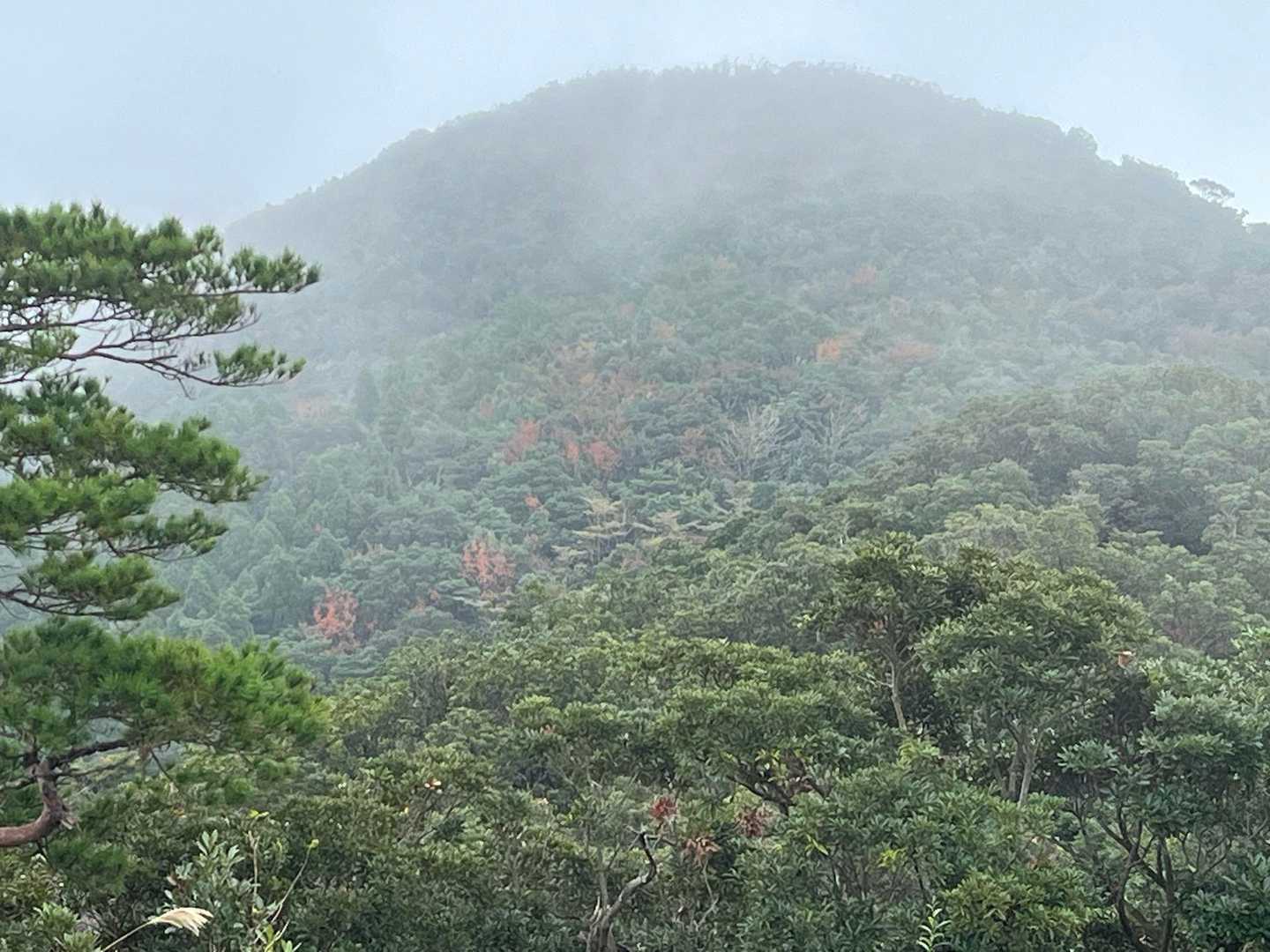 ちょこっとガスが取れたのでズーム🔍⤴️
写真ではわかりにくいけど、緑色の山の中に赤い色が結構見えてます🍁
どおりで紅葉がキレイだったわけだ🎵
