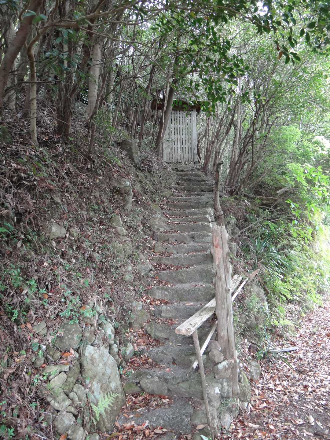 謎の石段。