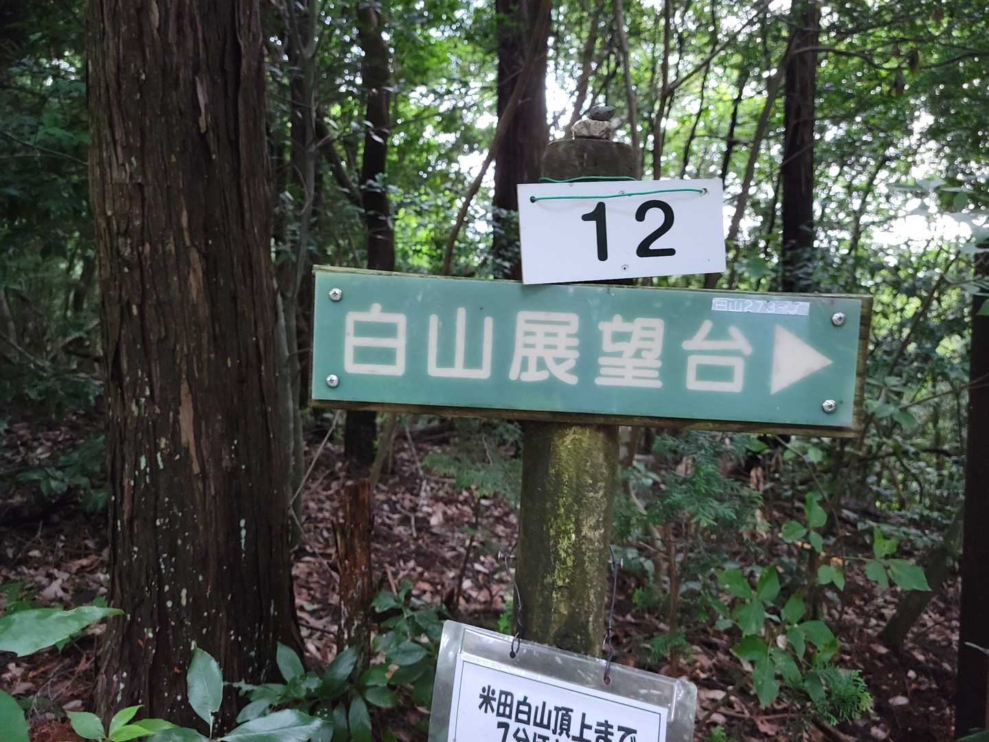 展望台へ🚶‍♀️