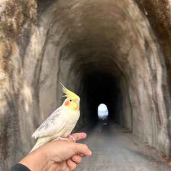 トンネル、声が響くよ😆