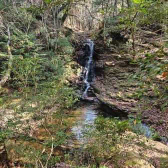 観光コースのいちばん奥、巌窟滝に着きました。
手前で会ったパトロールの人に、渓谷保全料¥1,000を払いました。