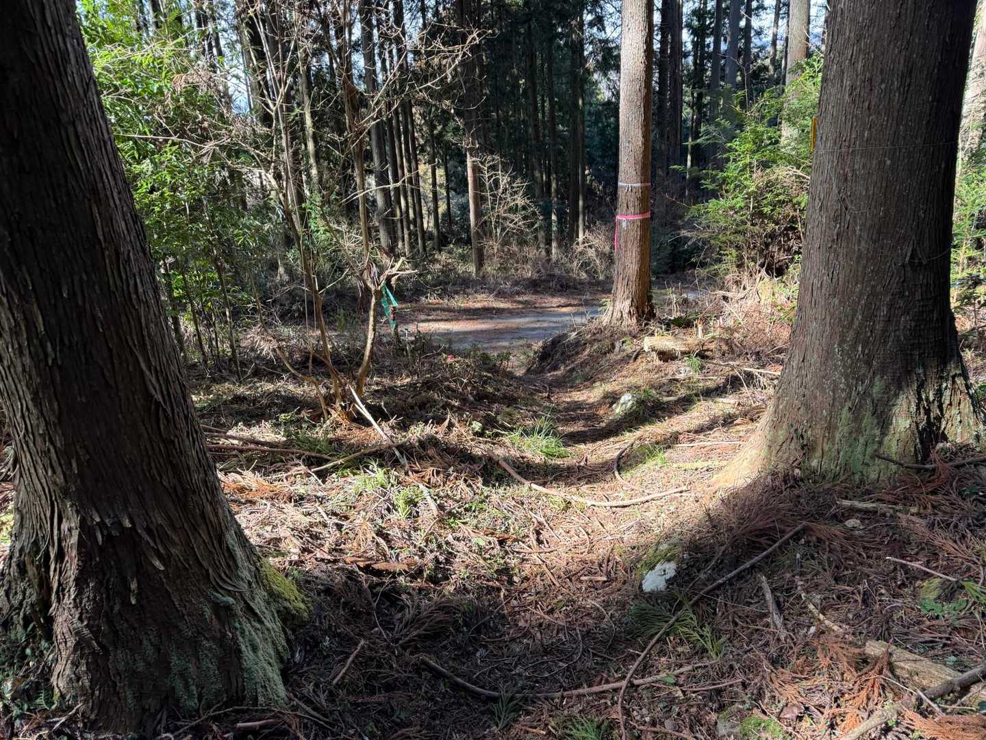 登山口まで下りて来ましたー