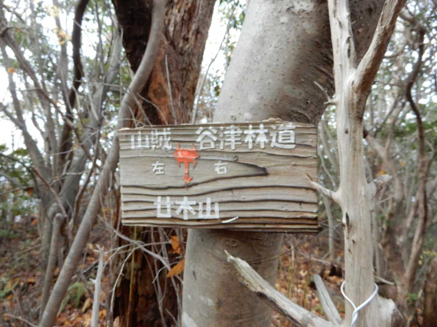 前回登ったコースと合流