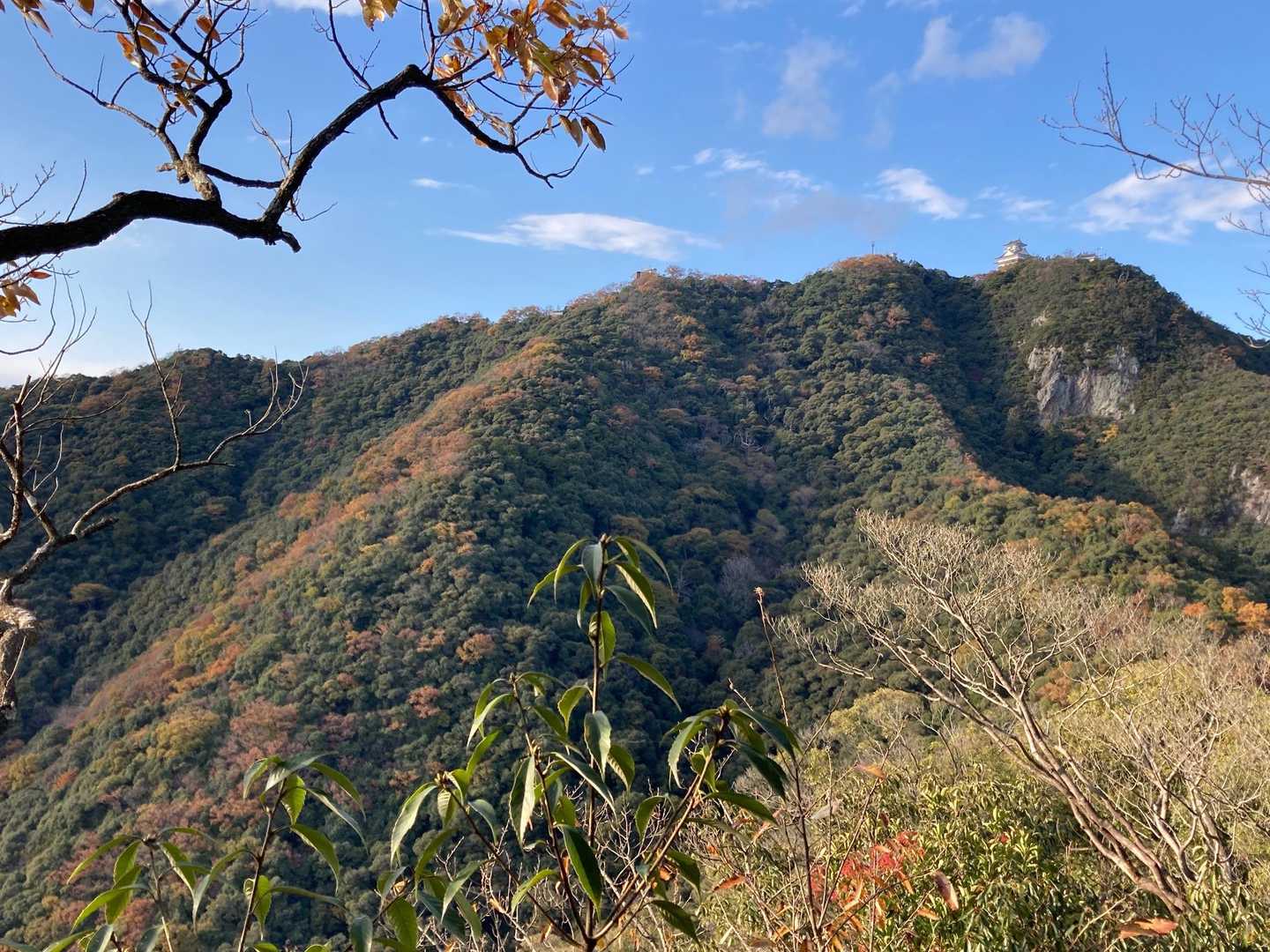 妙見峠発着｜岐阜市街を眼下にながめる金華山の写真