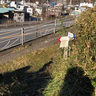 下りは結構角度がある上に、落ち葉で滑りやすく苦戦しました。何とか登山口へ。