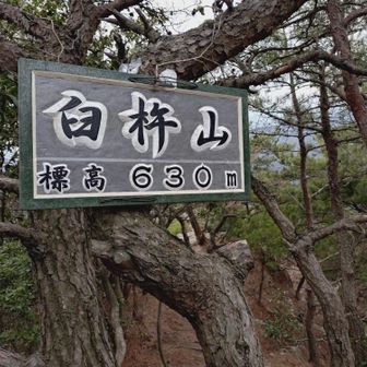 臼杵山
ケをぬいただけの名前なので
変わり映えがしないな🤔