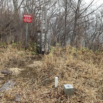 山頂到着、三角に尖る山のてっぺんだぁ～🙌