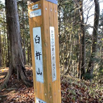 ここもかたらいの道なのか