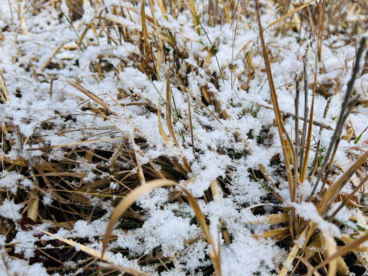 雪がでる。