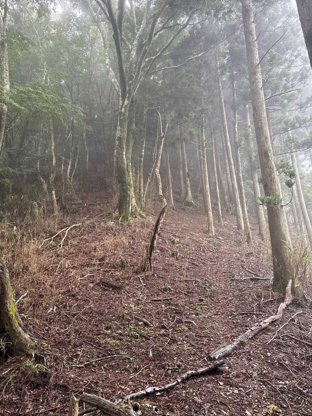 良い雰囲気