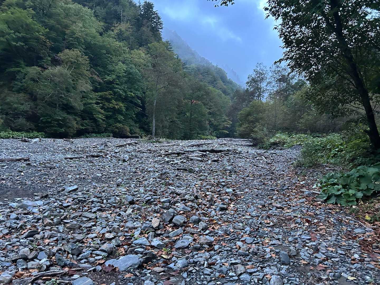 河原、水がありません
