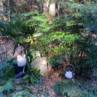 小仏峠でポンポコ