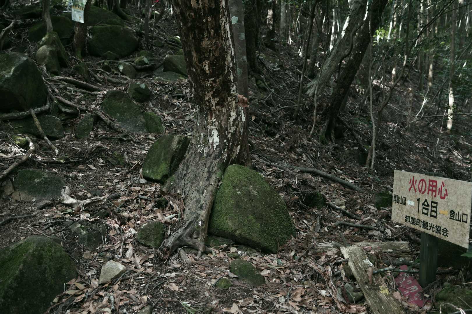 正面登山口-尾鈴山-長崎尾-矢筈岳 周回コースの写真