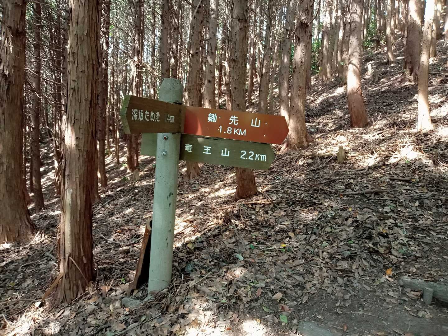 3分の1くらい来ました。ここから階段登りがひたすら続きます