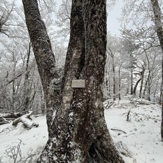 天女の頂
このあたりは雪あって楽しかったー✨✨✨