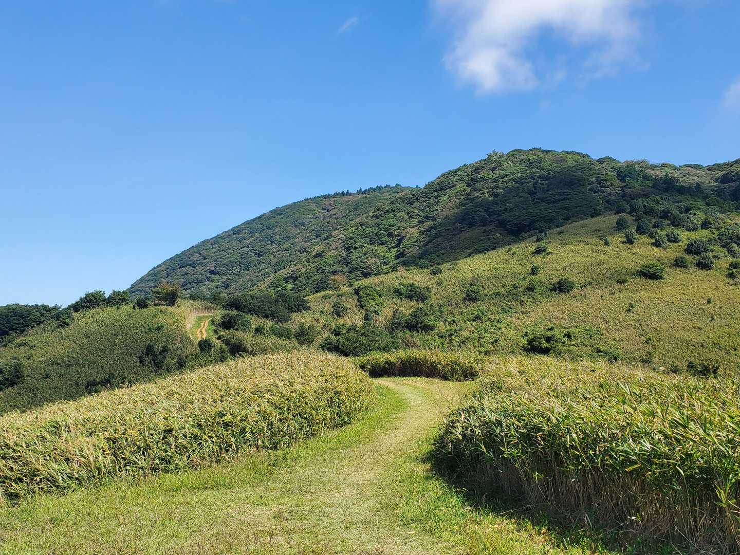 上ノ戸山への縦走路
ﾀｲﾑｵｰﾊﾞ-なので、また今度😔